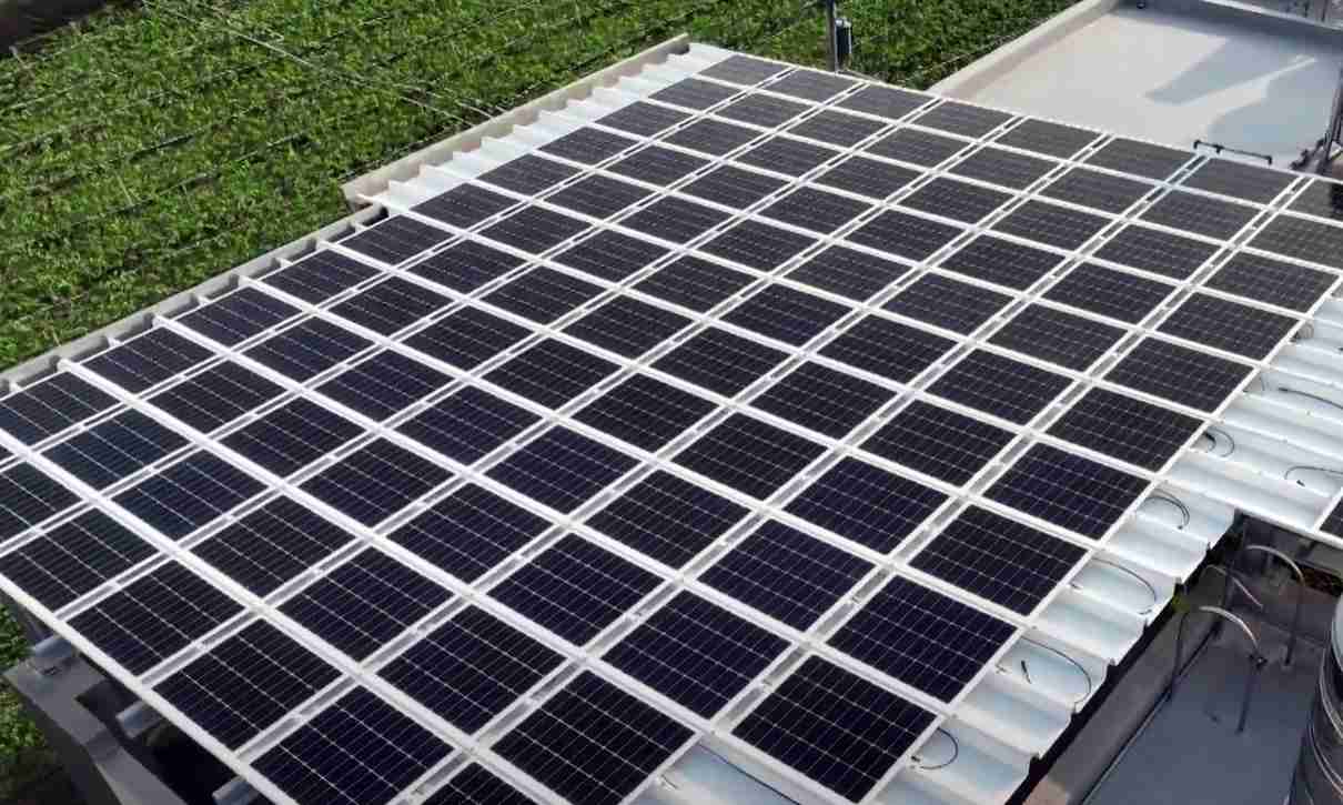 尊龙集团SunSteel光电浪板升级双玻结构，，，以提升机械负载强度及气候耐候度，，，可广泛运用于多元场域